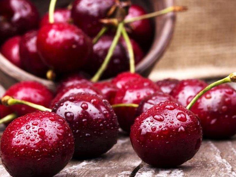 Вишня купить саженцы из питомника в Воткинске